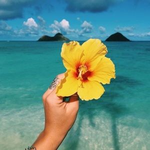 Meet your Posher, Natalie